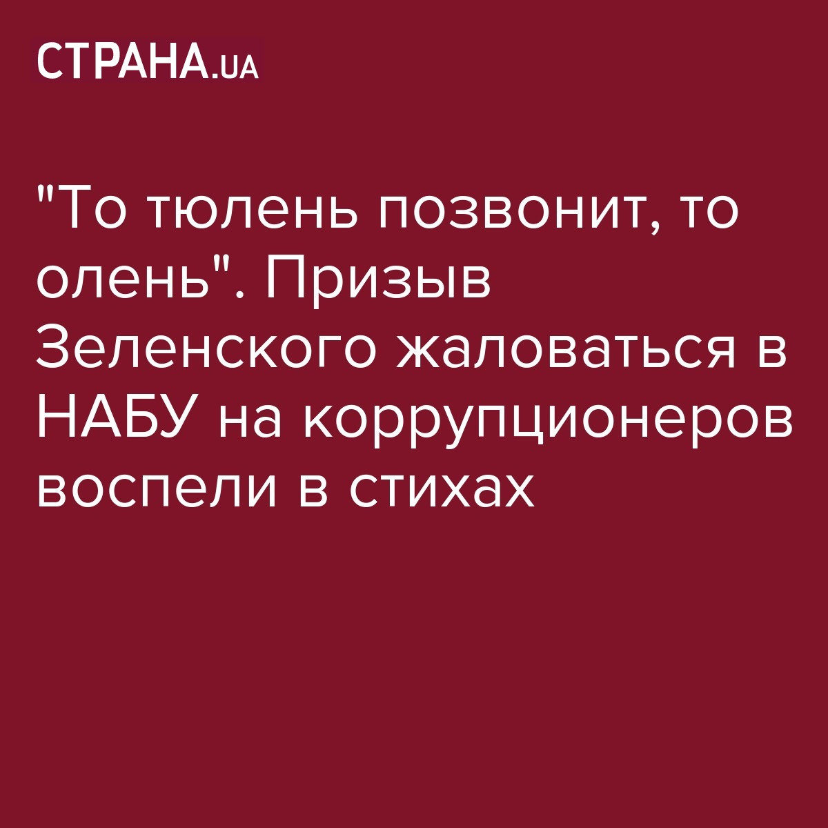 Журналист в стихах высмеял призыв Зеленского жаловаться на всех  коррупционеров в НАБУ