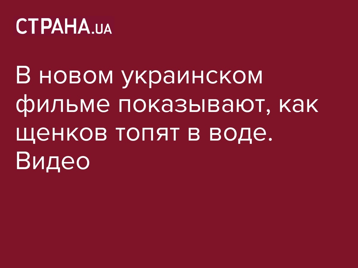 Фильм История Лизы обвинили в жестоком обращении с животными - видео